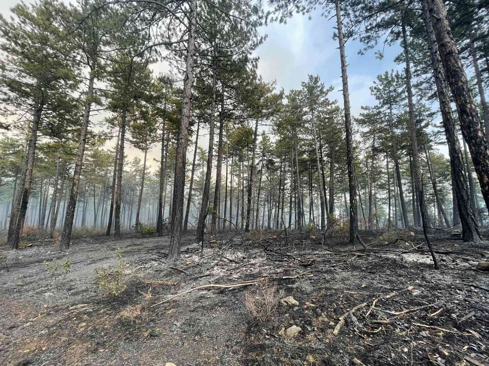 Bursa’daki orman yangını kısmen kontrol altına alındı Bursa’da 2 saat önce başlayan orman yangını kısmen kontrol altına alındı. Ekipler çalışmalarını sürdürüyor. Osmangazi ilçesine bağlı Karaıslah ...