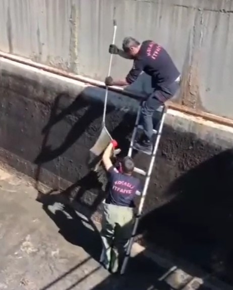 Kocaeli’nin İzmit ilçesinde derede çamura saplanan leylek için itfaiye ekipleri seferber oldu. Ekipler, leyleği mahsur kaldığı yerden kurtararak ...