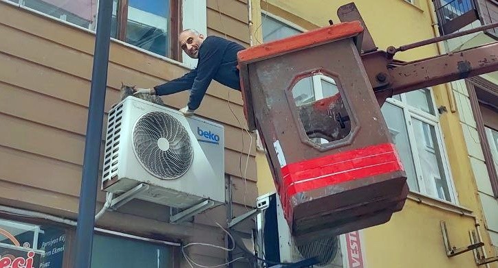 Çanakkale’de kedi kurtarma operasyonu Çanakkale’de bir köftecinin klima ünitesinin üstünde mahsur kalan kedi, belediye ekipleri tarafından kurtarıldı. Çanakkale’de Kemalpaşa ...