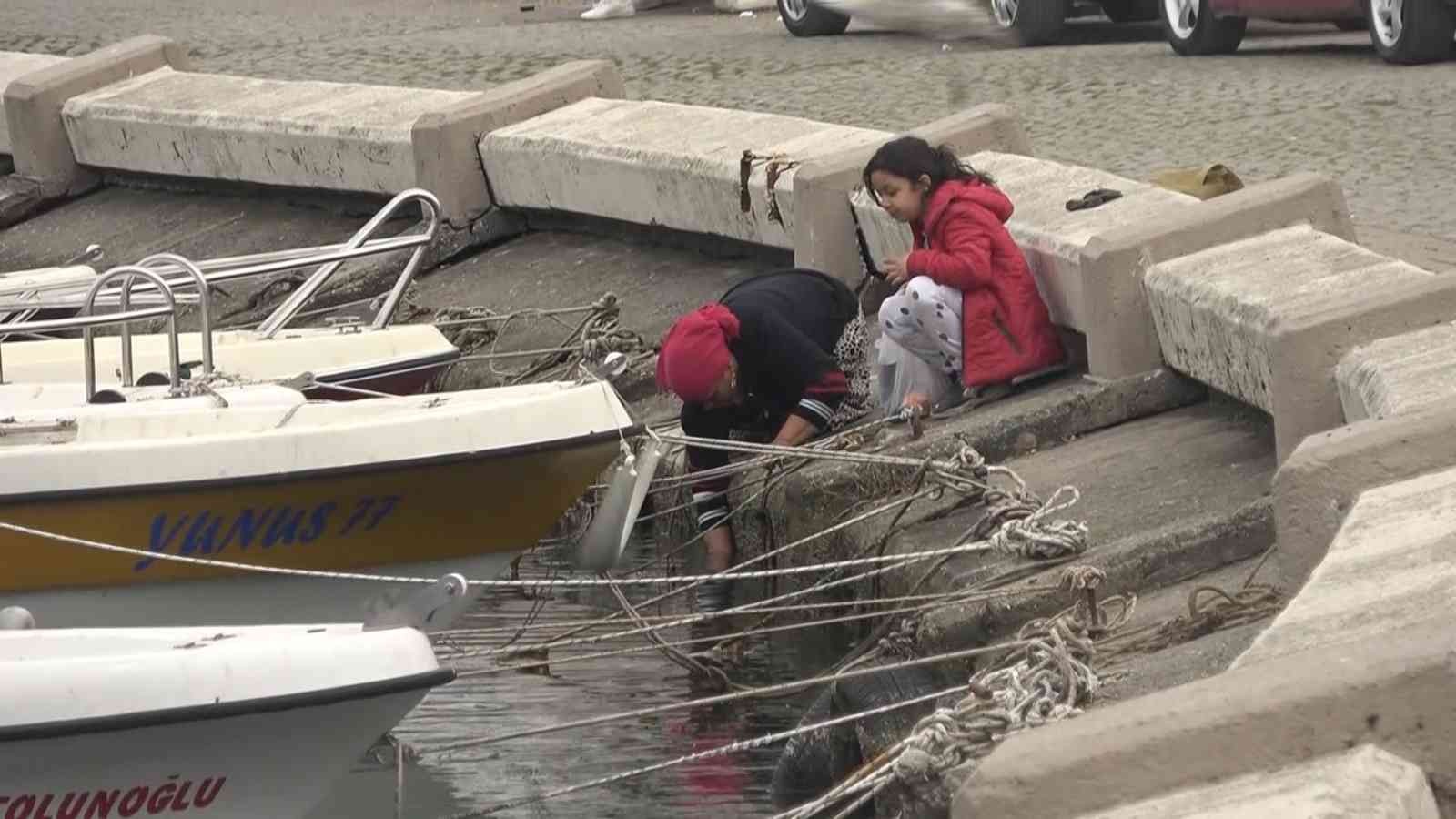 Çöken barınağa Yalova Belediyesi’nin parası yetmedi, DLH’nın yapması bekleniyor Yalova Belediyesi tarafından bütçesinin yetersiz olması gerekçisiyle yapılamayan Merkez Balıkçı Barınağı’ndaki yaşanan çökme vatandaşlar ve ...