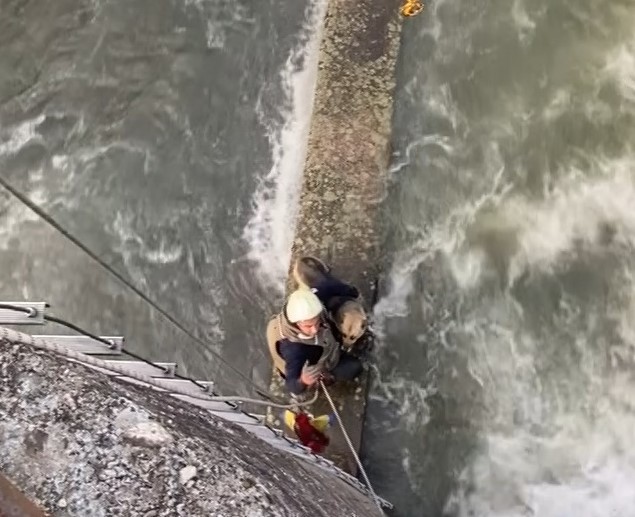 Derede mahsur kalan köpeğe nefes kesen kurtarma operasyonu Kocaeli’nin Başiskele ilçesinde köpek derede mahsur kaldı. Bölgeye vinç çağıran itfaiye ekipleri, nefes kesen operasyon ile köpeği kurtardı ...