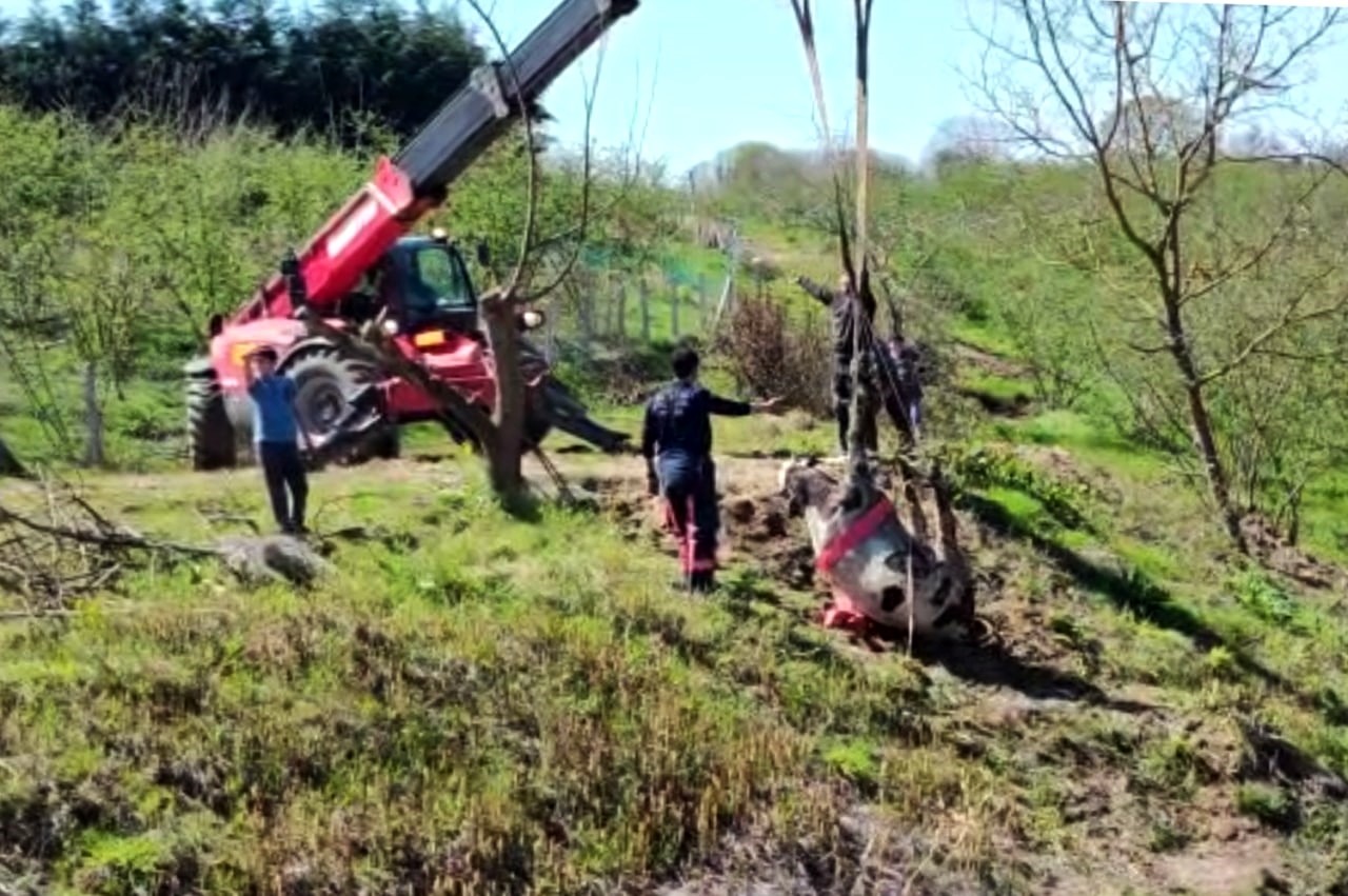 Dereye düşen büyükbaş hayvanı böyle kurtardılar Sakarya’nın Karasu ilçesinde yol kenarında otladığı esnada dere yatağına düşen büyükbaş hayvan, itfaiye ekiplerinin uzun uğraşları neticesinde ...