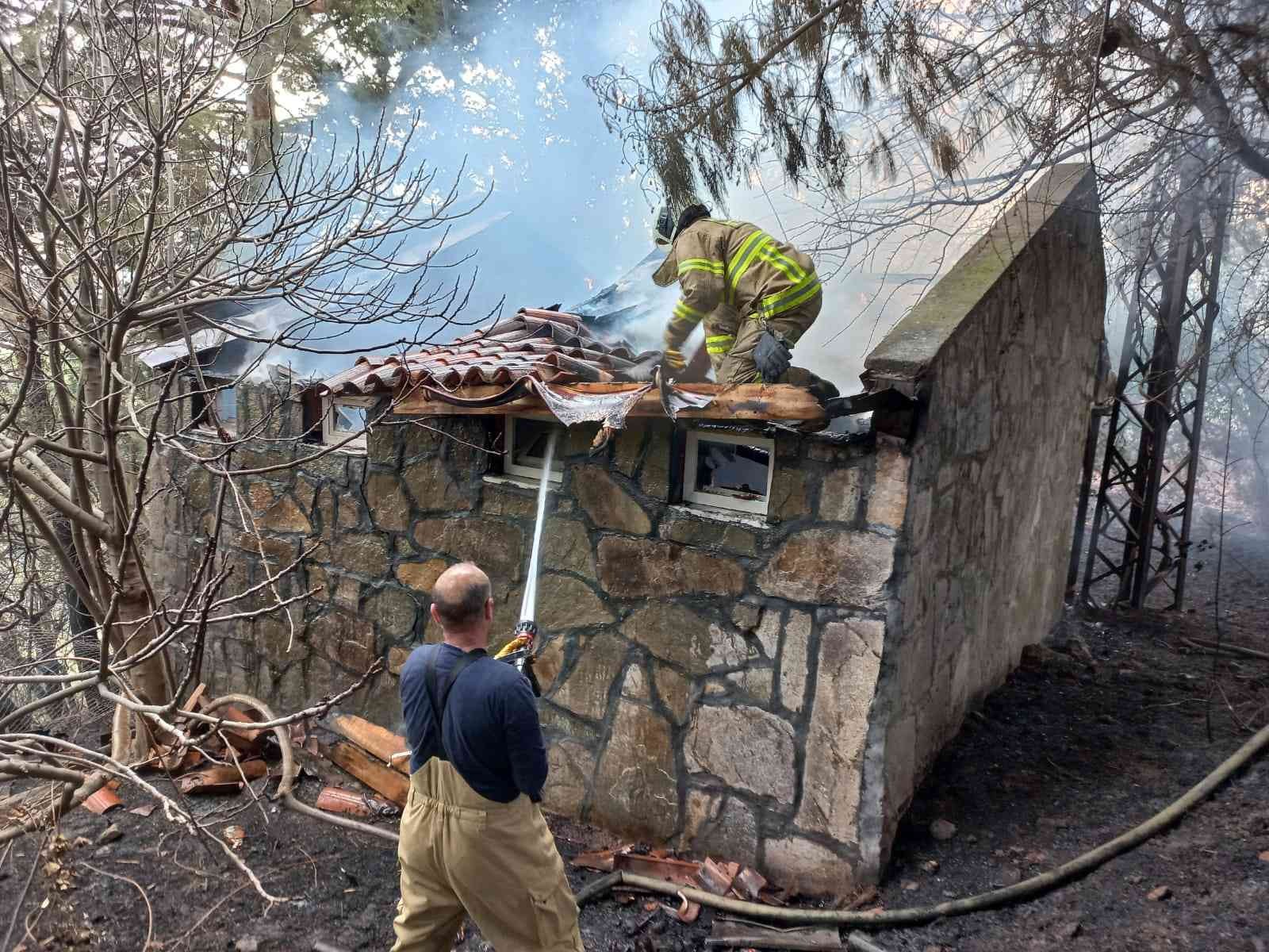 Edremit’te mesire alanında çıkan yangında 2 hektar alan yandı Balıkesir’in Edremit ilçesinde mesire alanında çıkan yangın ekiplerin kısa sürede müdahalesi ile söndürüldü. Edinilen bilgilere göre, akşam ...