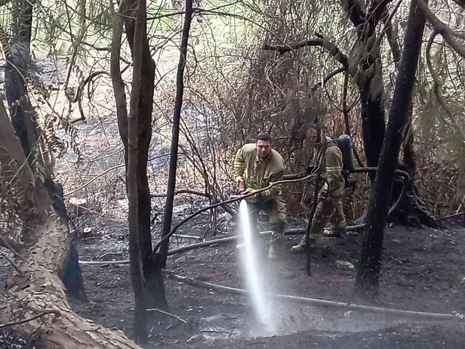Edremit’te mesire alanında çıkan yangında 2 hektar alan yandı Balıkesir’in Edremit ilçesinde mesire alanında çıkan yangın ekiplerin kısa sürede müdahalesi ile söndürüldü. Edinilen bilgilere göre, akşam ...