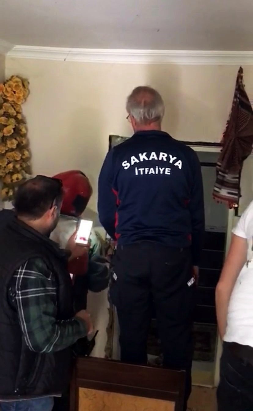 Eve giren yılan paniğe sebep oldu Sakarya’nın Akyazı ilçesinde bir eve giren yılan paniğe sebep oldu. İtfaiye ekiplerince yakalanan yılan doğaya salındı. Akyazı ilçesi Altındere ...