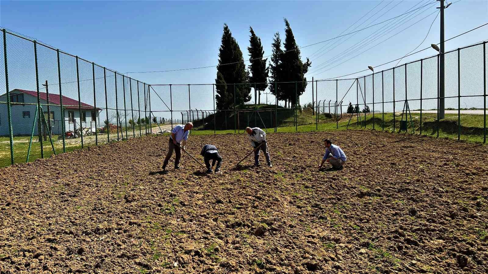 Kocaeli’nin Bağlıca Köyü’ne İzmit Belediyesi futbol sahası söz verdi. Saha 3 yıldır tamamlanmayınca vatandaşlar ilginç bir protestoya imza attı ...