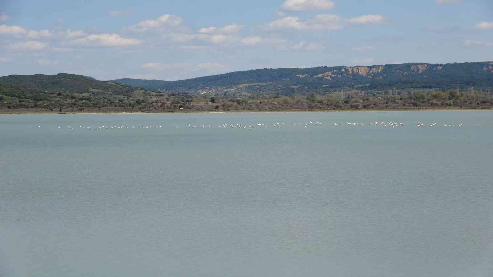 Göç eden flamingolar Çanakkale Tarihi Alanda durakladı Çanakkale Savaşları’nın yaşandığı Tarihi Gelibolu Yarımadası’ndaki Büyük Anafarta köyü yakınlarında bulunan Suvla Gölü, göçmen kuşların en ...