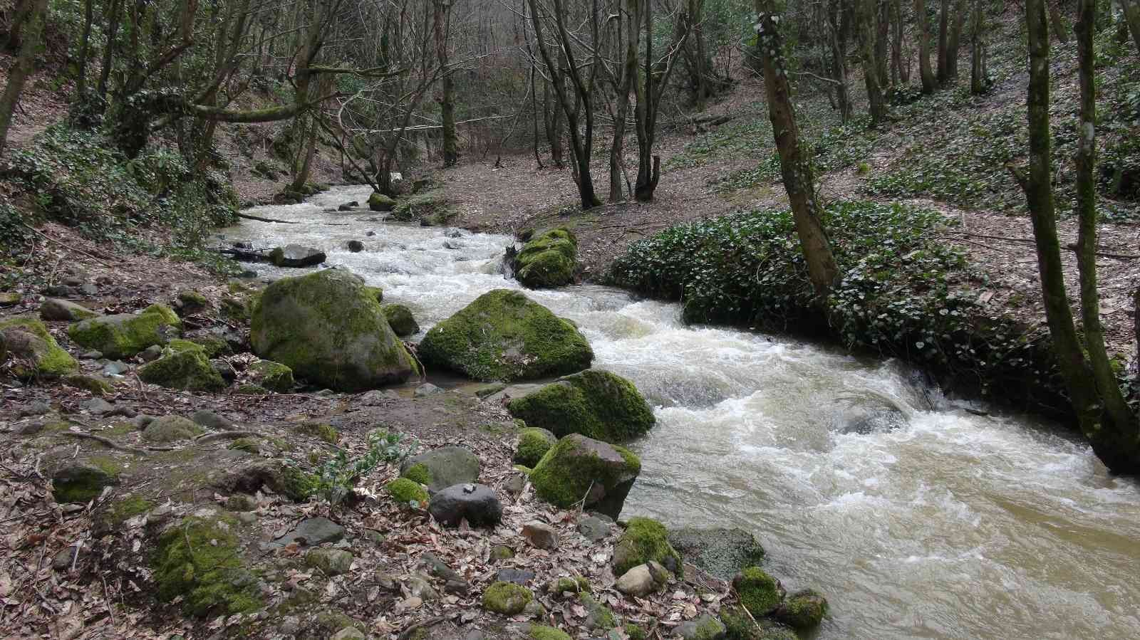 Kocaeli’nin Gölcük ilçesinde bulunan, yürüyüş parkuru ve doğasıyla hayranlık uyandıran Nüzhetiye Şelalesi, doğaseverlerin keşfini bekliyor ...