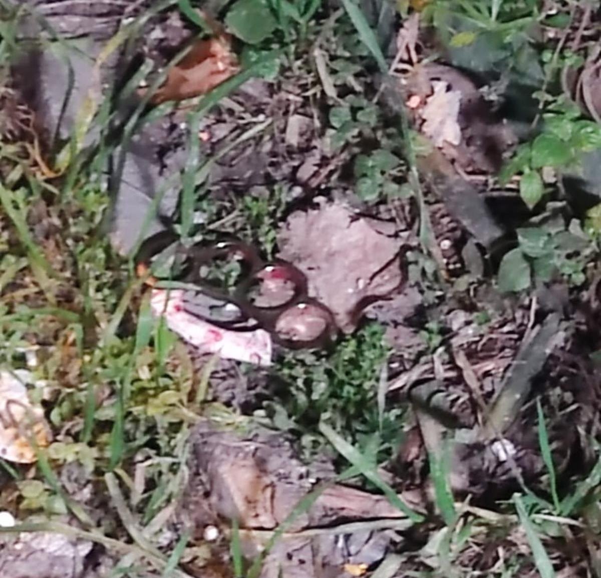 İstanbul’da korkunç cinayetin katili yakalandı: Arkadaşını kalbinden bıçaklayıp öldürmüştü Kağıthane’de sokakta karşılaşıp tartıştığı kağıt toplayıcısı yabancı uyruklu arkadaşını çıkan kavgada kalbinden bıçaklayarak öldüren katil ...