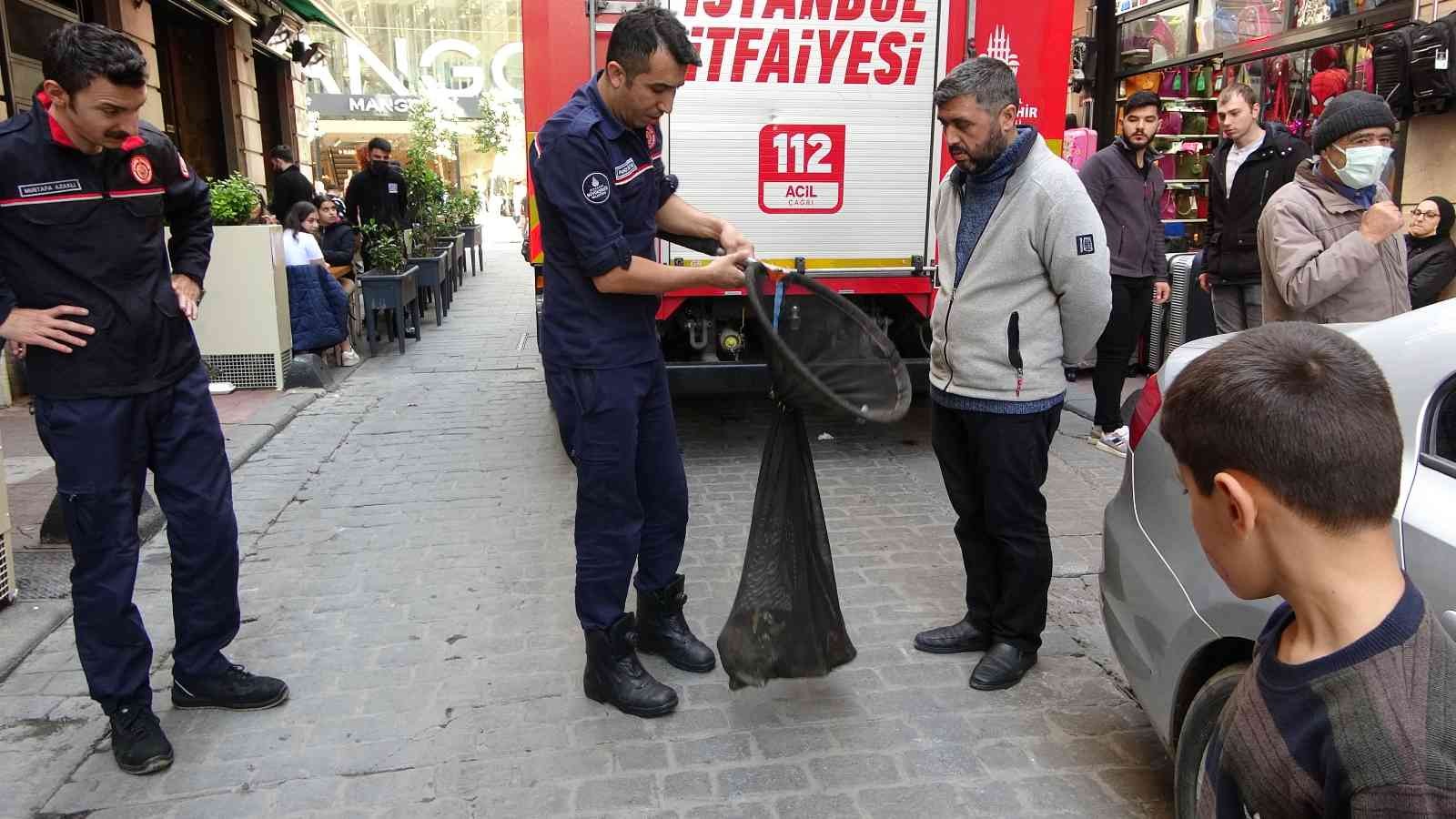 İstiklal Caddesi’nde bir restoranın bacasına kedi girdi İstiklal Caddesi’nde bulunan bir restoranın bacasına kedi girdi. İtfaiye erleri tarafından uzun uğraşlar sonucu bacadan çıkartılan kedi tedavi ...