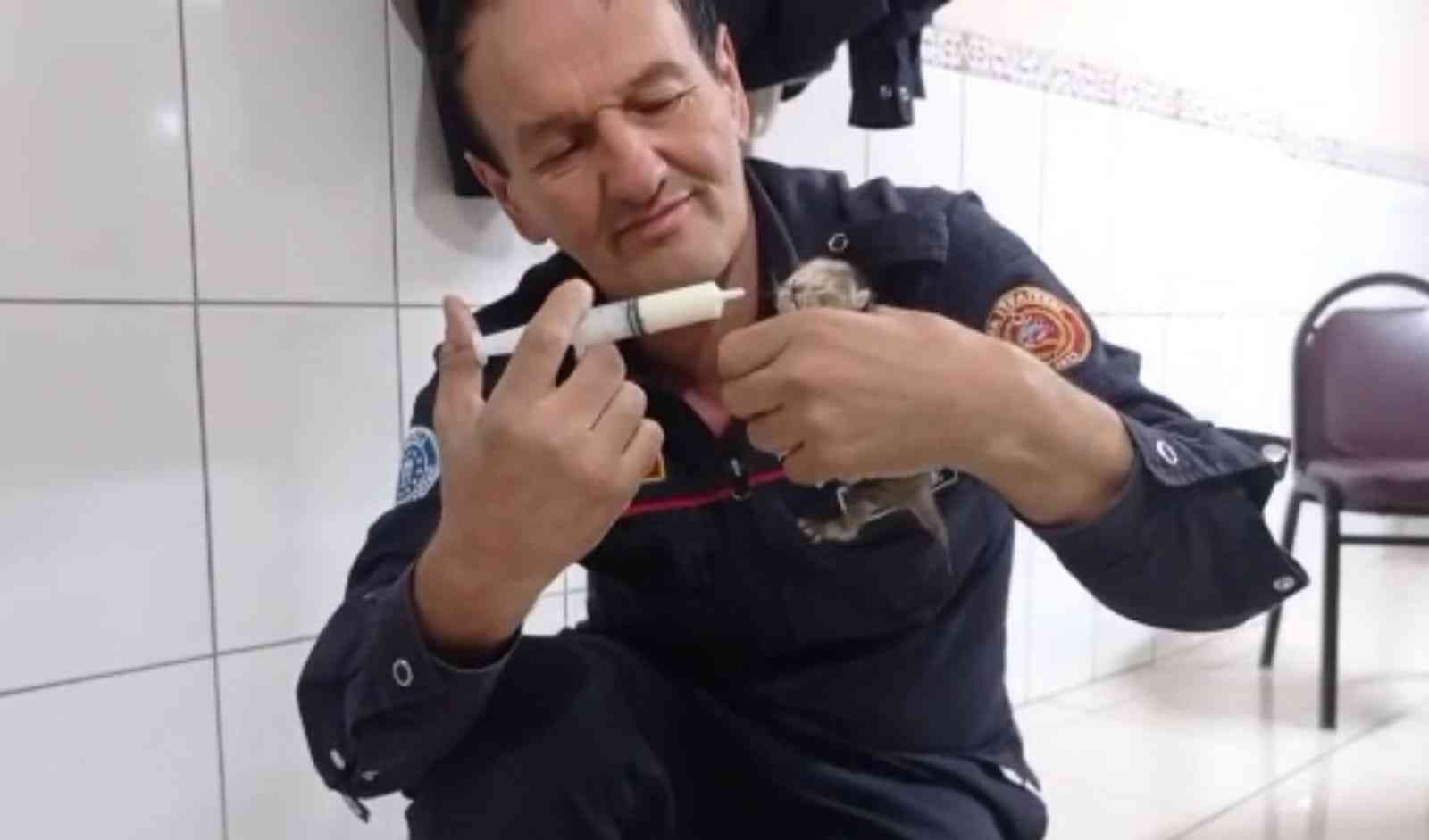 İtfaiye ekipleri kurtardıkları 3 yavru kediyi elleriyle besledi Bursa’nın İnegöl ilçesinde itfaiye ekipleri, otomobilin motor kısmından kurtardıkları 3 yavru kediyi elleriyle besledi. Olay, Süleymaniye ...