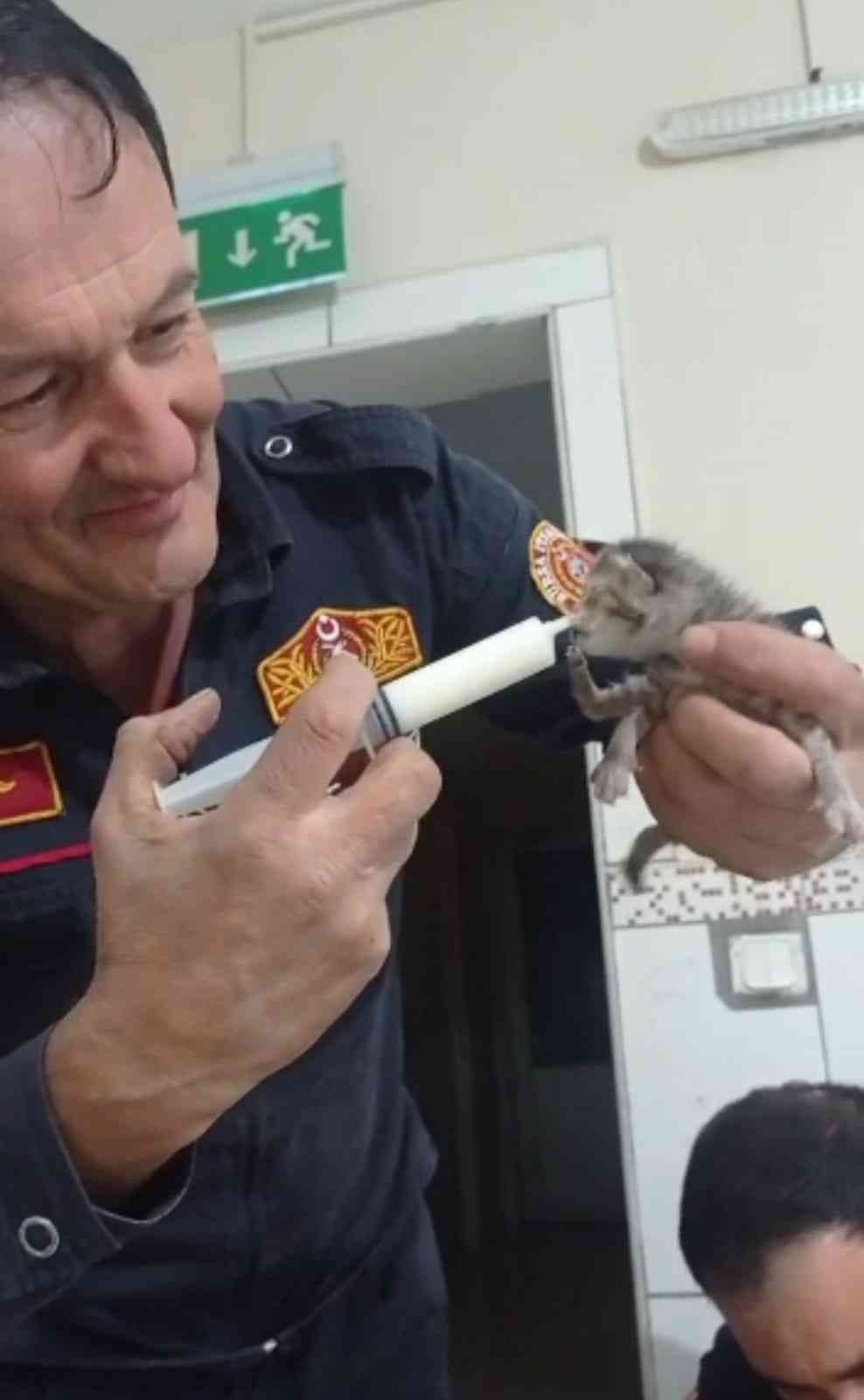 İtfaiye ekipleri kurtardıkları 3 yavru kediyi elleriyle besledi Bursa’nın İnegöl ilçesinde itfaiye ekipleri, otomobilin motor kısmından kurtardıkları 3 yavru kediyi elleriyle besledi. Olay, Süleymaniye ...