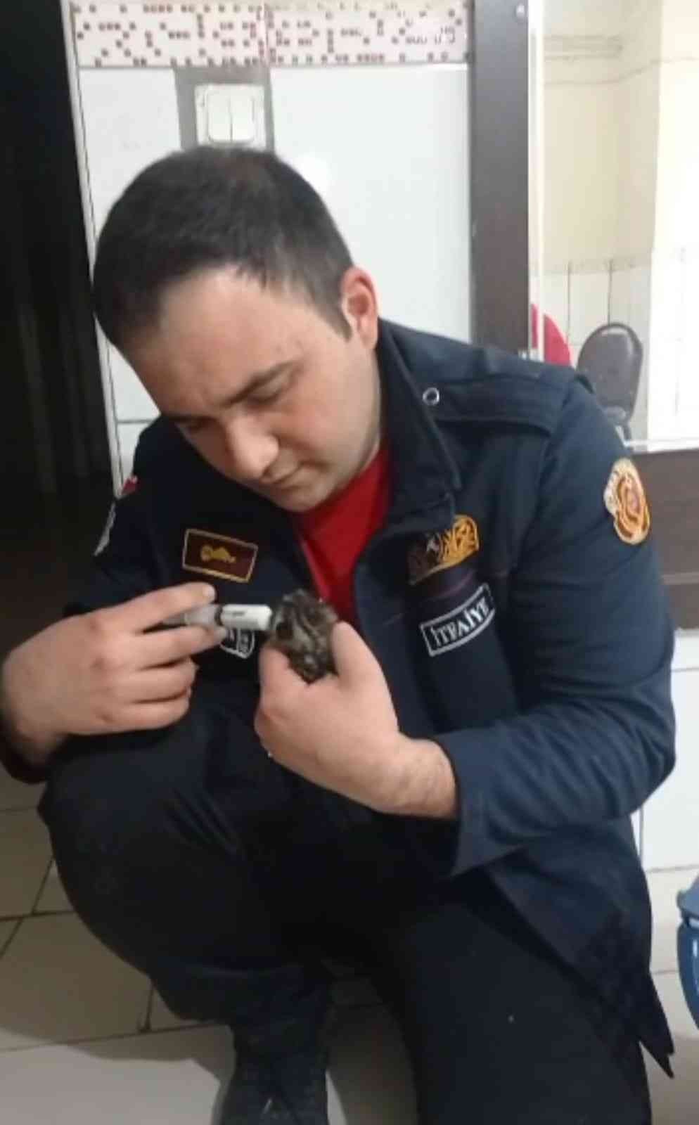 İtfaiye ekipleri kurtardıkları 3 yavru kediyi elleriyle besledi Bursa’nın İnegöl ilçesinde itfaiye ekipleri, otomobilin motor kısmından kurtardıkları 3 yavru kediyi elleriyle besledi. Olay, Süleymaniye ...