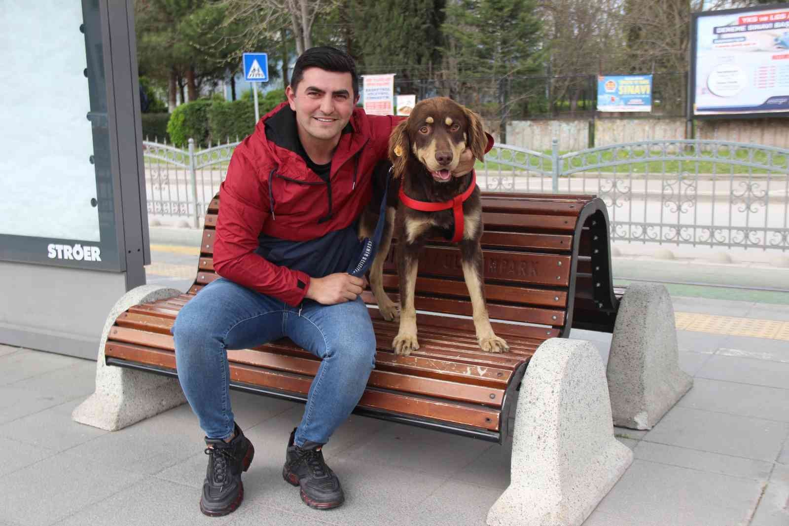 Kocaeli’de kaçak olarak bindiği tramvayda şehri gezen, yolcuların maskotu olan köpeğe Ulaşım Park personeli sahip çıktı. Artık belediyenin ...