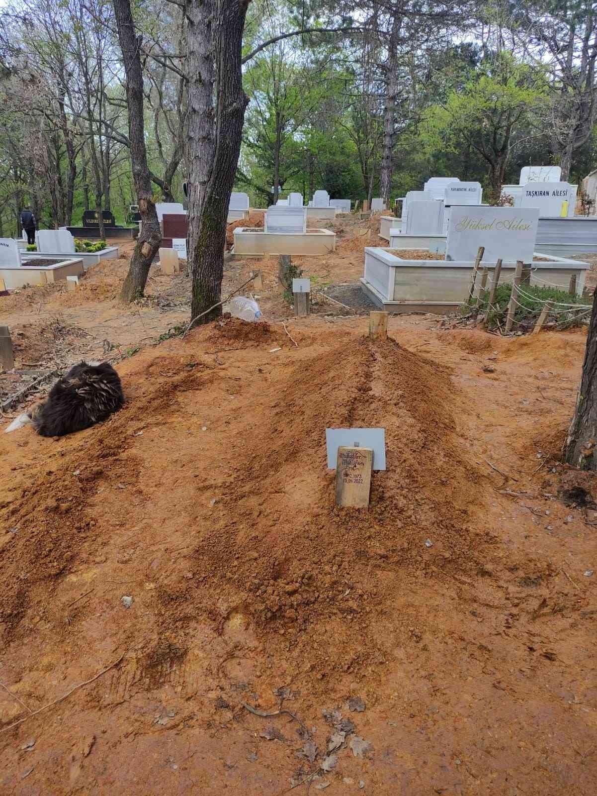 Kaligrafi ve Hat Ustası Mukadder Mustafa Erol’a veda Kalp krizi sonucu hayata gözlerini yuman ünlü Kaligrafi ve Hat Ustası Mukadder Mustafa Erol, İstanbul’da son yolculuğuna uğurlandı. Kaligrafi ve ...