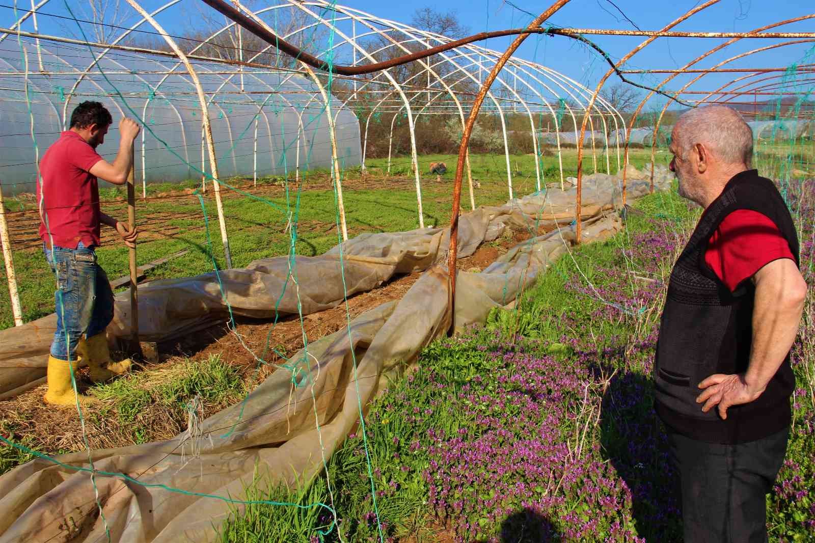 Karı-koca serada yıllardır beraber kazma sallıyor Kocaeli’nin Gebze ilçesinde yıllardır seracılık işi yapan bir aile, emek verip ürettikleri ürünlerin kendilerinden cüzi bir miktara satın ...
