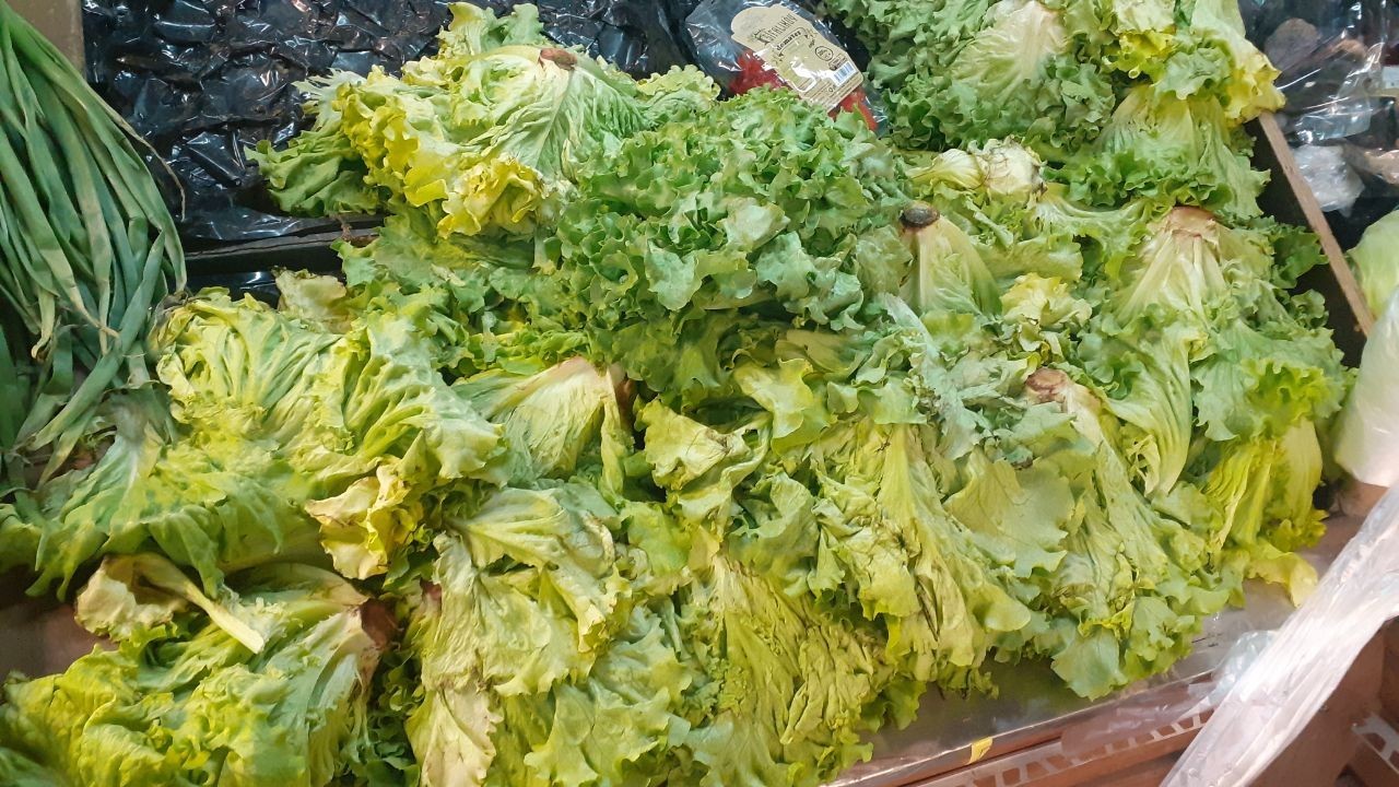 Karı-koca serada yıllardır beraber kazma sallıyor Kocaeli’nin Gebze ilçesinde yıllardır seracılık işi yapan bir aile, emek verip ürettikleri ürünlerin kendilerinden cüzi bir miktara satın ...