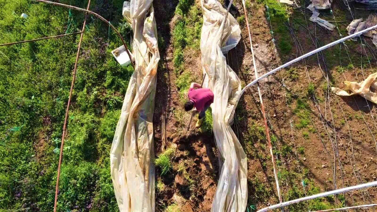 Karı-koca serada yıllardır beraber kazma sallıyor Kocaeli’nin Gebze ilçesinde yıllardır seracılık işi yapan bir aile, emek verip ürettikleri ürünlerin kendilerinden cüzi bir miktara satın ...