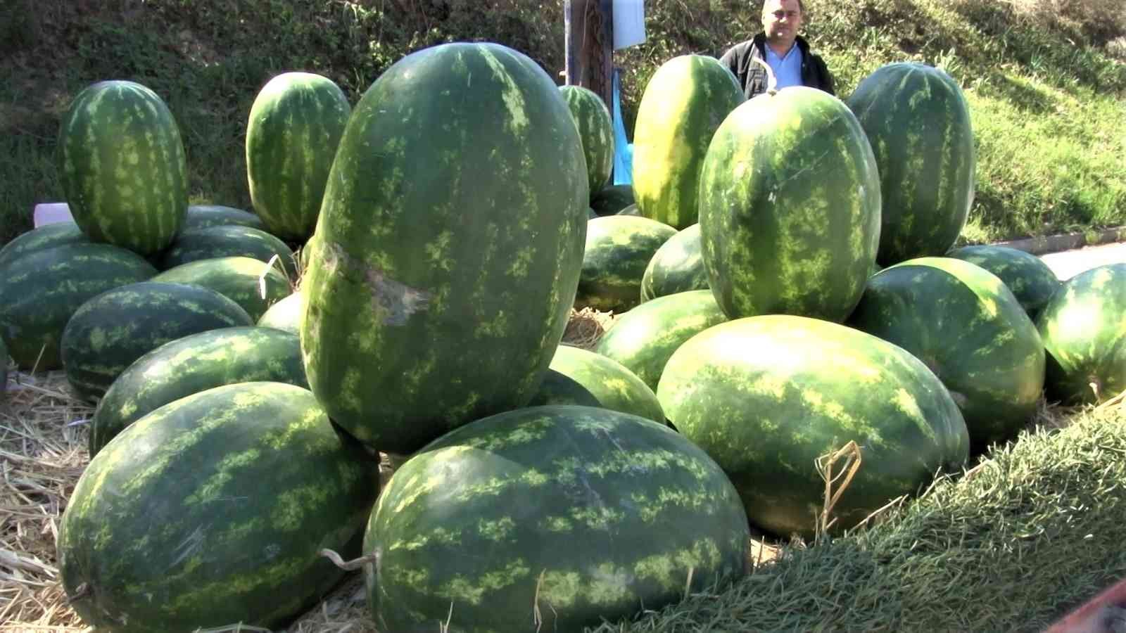 İstanbul’da kamyonet içerisinde karpuz satışı yapan bir vatandaş fiyatların artması ve vatandaşların üzerinde nakit taşımamaları nedeniyle IBAN ...