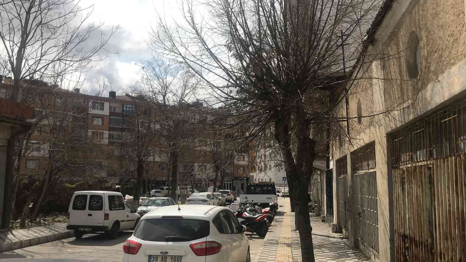 Kırklareli’nde budanmayan ağaçlar esnaf ve vatandaşları üzüyor Kırklareli şehir merkezinde bazı cadde ve sokaklardaki ağaçların iki yıldır budanmadığını belirten esnaf ve vatandaşlar, belediye yetkililerinin ...