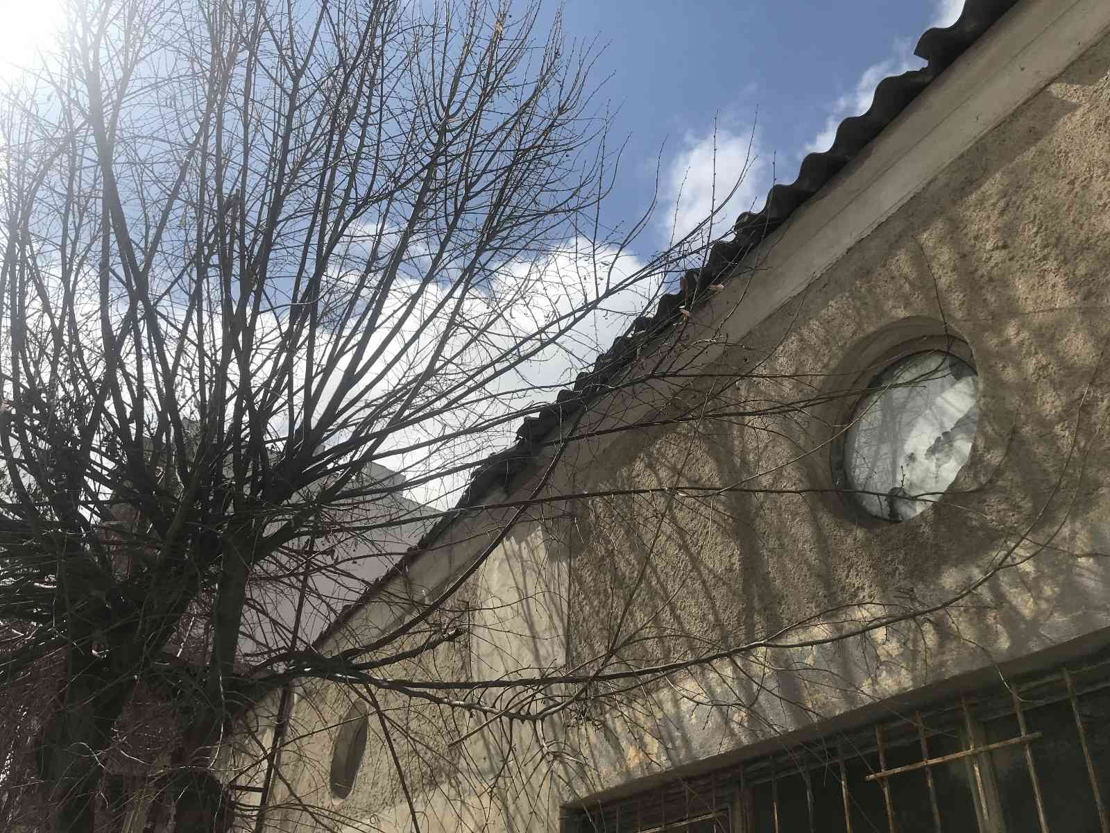 Kırklareli’nde budanmayan ağaçlar esnaf ve vatandaşları üzüyor Kırklareli şehir merkezinde bazı cadde ve sokaklardaki ağaçların iki yıldır budanmadığını belirten esnaf ve vatandaşlar, belediye yetkililerinin ...