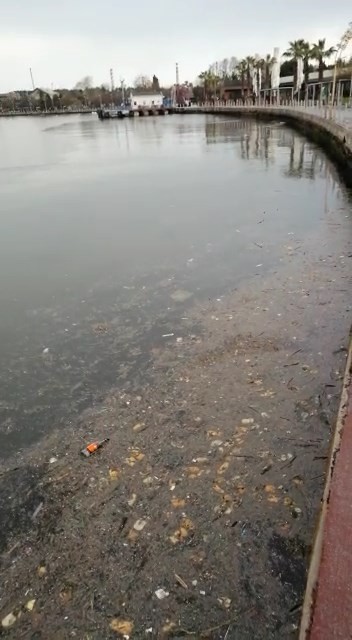 Kocaeli körfezinde dün çekilen görüntü yürekleri sızlattı. Sahil kenarları adeta çöplüğe dönerken, vatandaşlar duruma tepki gösterdi. Gemilerin ...