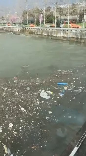 Kocaeli körfezinde dün çekilen görüntü yürekleri sızlattı. Sahil kenarları adeta çöplüğe dönerken, vatandaşlar duruma tepki gösterdi. Gemilerin ...