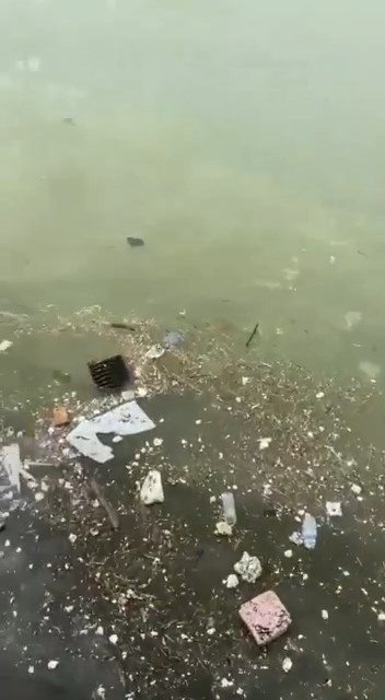 Kocaeli körfezinde dün çekilen görüntü yürekleri sızlattı. Sahil kenarları adeta çöplüğe dönerken, vatandaşlar duruma tepki gösterdi. Gemilerin ...