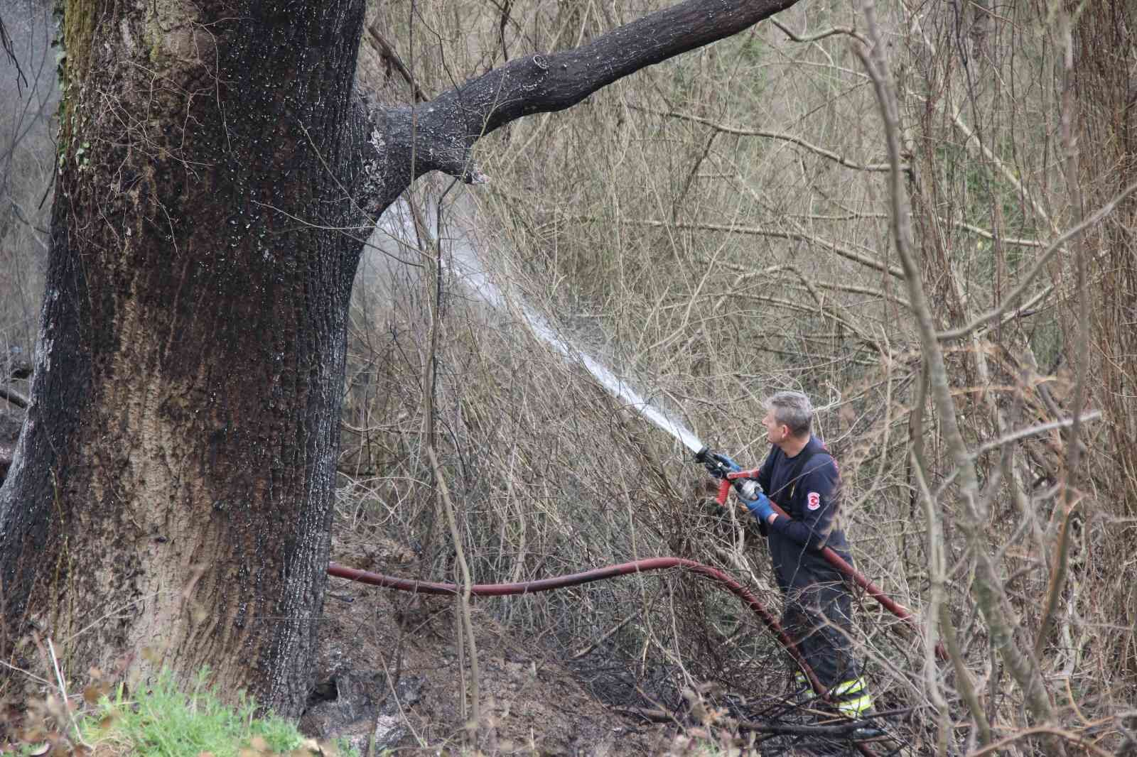 Kocaeli’de ormanlık alanda yangın çıktı Kocaeli’nin İzmit ilçesinde ormanlık alanda çıkan ve kısa sürede büyüyen yangın, ekiplerin müdahalesi neticesinde kontrol altına alındı. Yangın ...