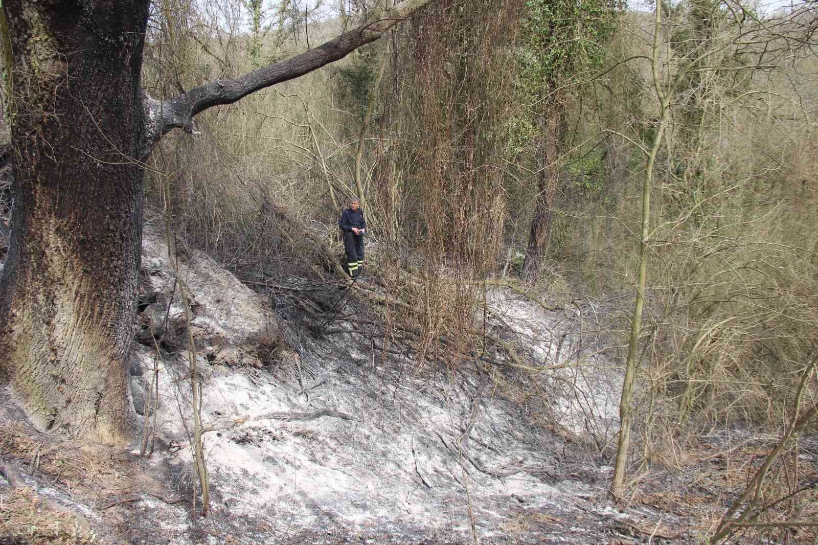 Kocaeli’nin İzmit ilçesinde ormanlık alanda çıkan ve kısa sürede büyüyen yangın, ekiplerin müdahalesi neticesinde kontrol altına alındı. Yangın ...