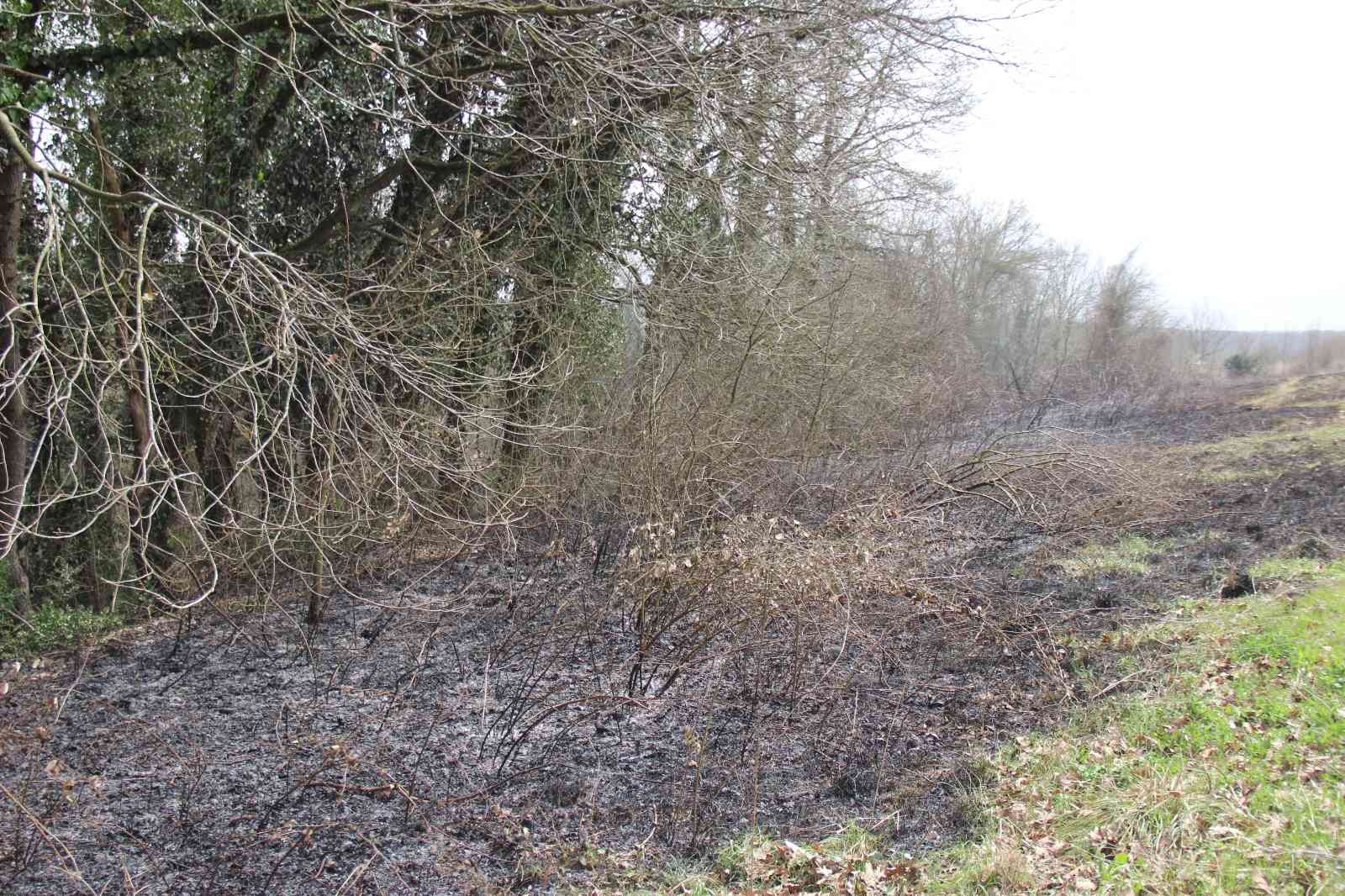 Kocaeli’de ormanlık alanda yangın çıktı Kocaeli’nin İzmit ilçesinde ormanlık alanda çıkan ve kısa sürede büyüyen yangın, ekiplerin müdahalesi neticesinde kontrol altına alındı. Yangın ...