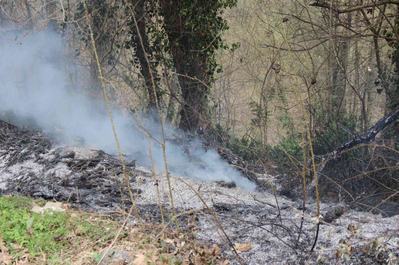 Kocaeli’de ormanlık alanda yangın çıktı Kocaeli’nin İzmit ilçesinde ormanlık alanda çıkan ve kısa sürede büyüyen yangın, ekiplerin müdahalesi neticesinde kontrol altına alındı. Yangın ...