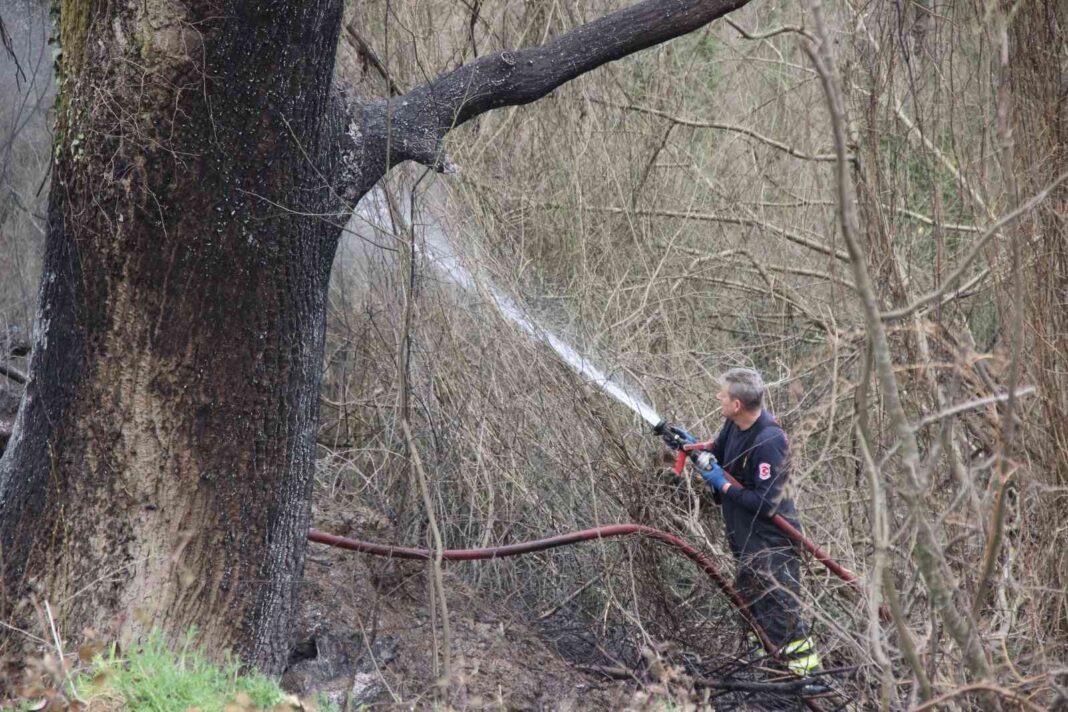 kocaelide-ormanlik-alanda-yangin-cikti-fGexvmAC.jpg
