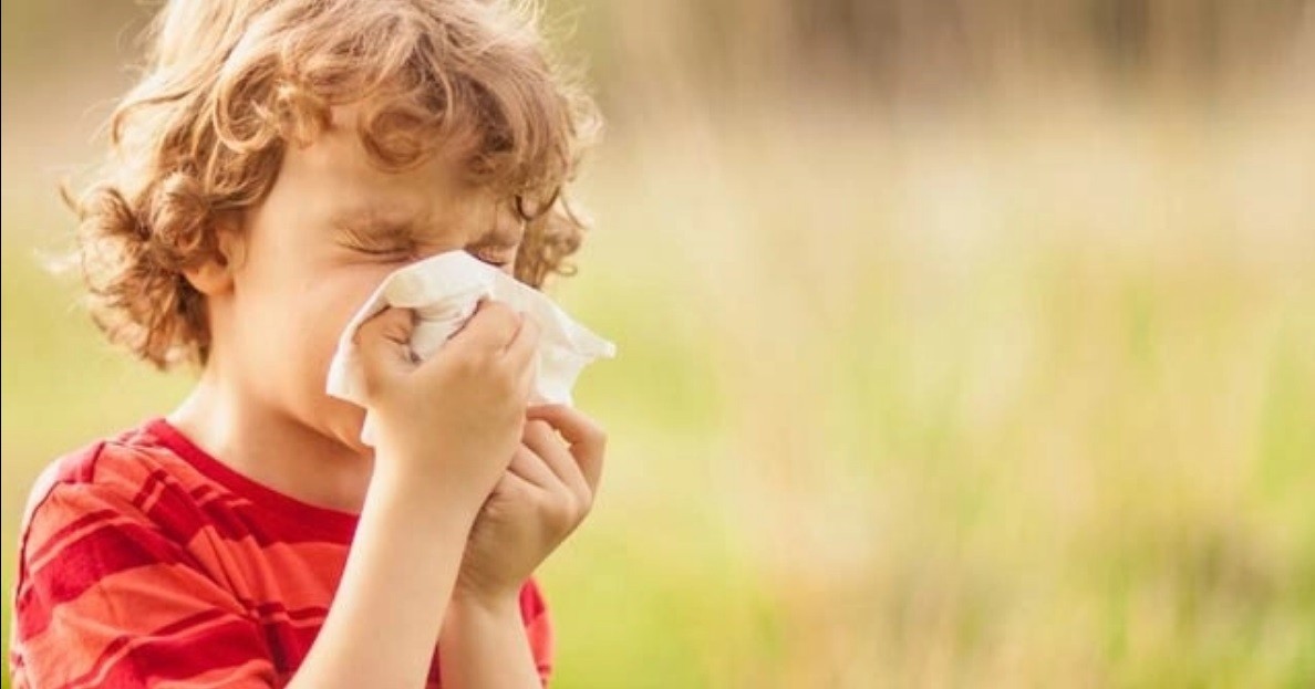 Bahar ve yaz aylarında bireyin sosyal hayatını etkileyecek boyutta görülen polen alerjisine karşı uyarılarda bulunan Göğüs Hastalıkları Öğr ...
