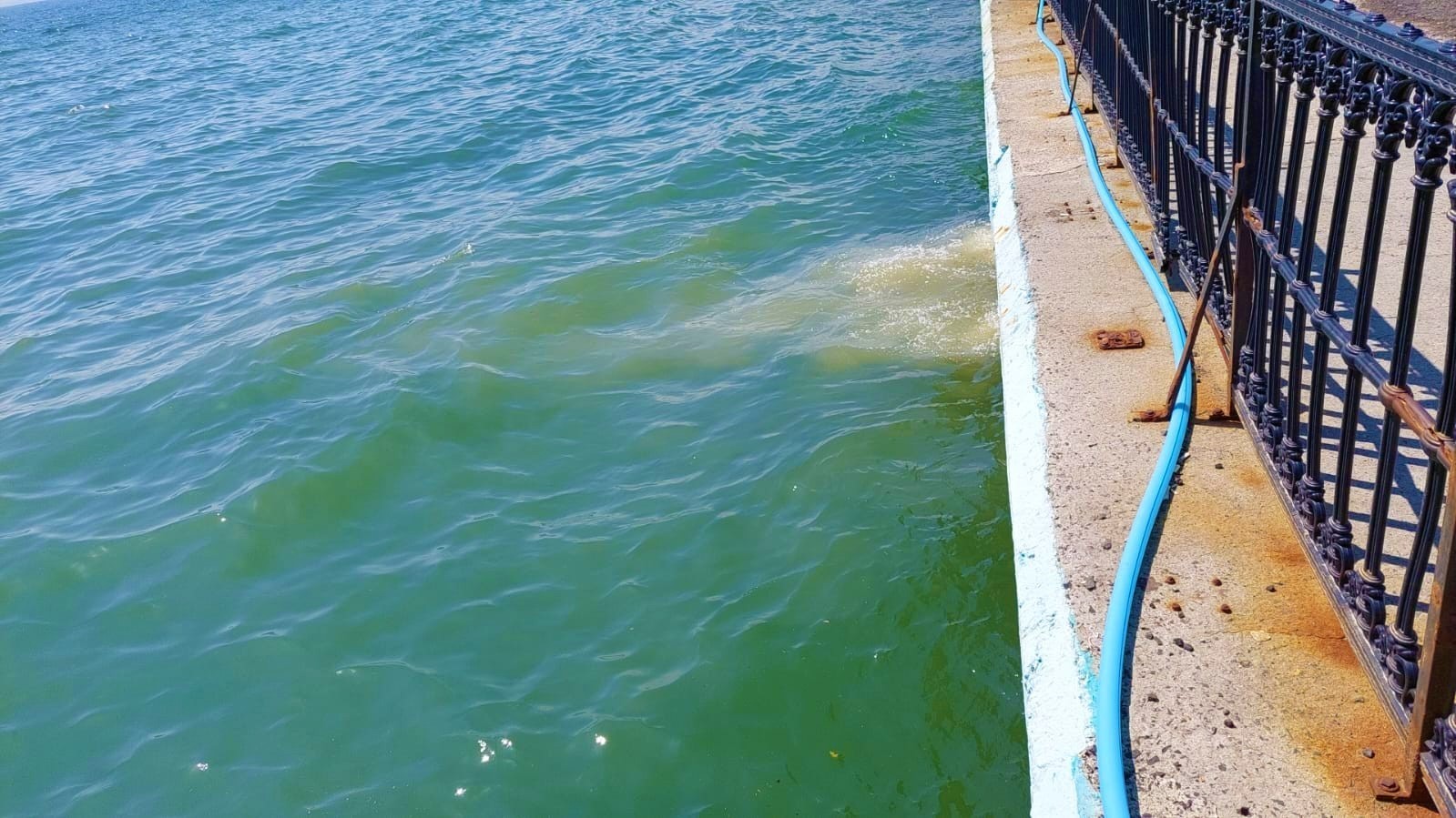 Marmara Denizine akan TESKİ’nin yağmur suyu hattından tuvalet pisliği çıktı TESKİ’nin yağmur suyu hattından akan suyun denizin rengini değiştirmesi üzerine, bölgede yapılan incelemelerde akan suyun içinden tuvalet pisliği ...