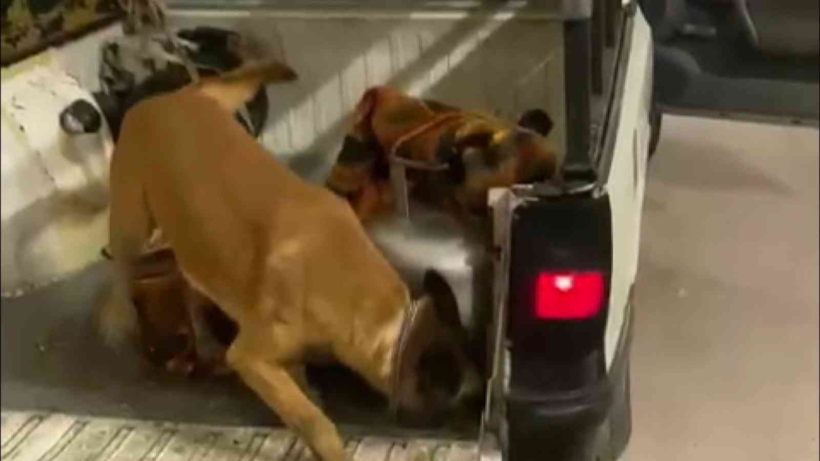 Mutfak tüpüne 46 bin uyuşturucu hap sakladılar, Galya’dan kaçamadılar Bursa’da narkotik polisinin bir otomobilde yaptığı operasyonda, mutfak tüpü içine zulalanmış 46 bin captagon uyuşturucu hap ele geçirildi. Galya ...