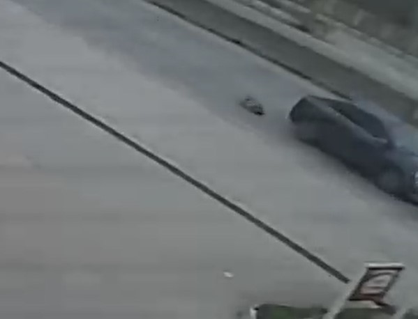 Otomobilin altında kalan köpek metrelerce sürüklendi, o anlar güvenlik kamerasına yansıdı Kocaeli’de otomobilin çarptığı köpek, aracın altında metrelerce sürüklendi. O anlar bir iş yerinin güvenlik kamerasına yansıdı. Olay, dün Gölcük ...