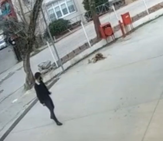 Otomobilin altında kalan köpek metrelerce sürüklendi, o anlar güvenlik kamerasına yansıdı Kocaeli’de otomobilin çarptığı köpek, aracın altında metrelerce sürüklendi. O anlar bir iş yerinin güvenlik kamerasına yansıdı. Olay, dün Gölcük ...