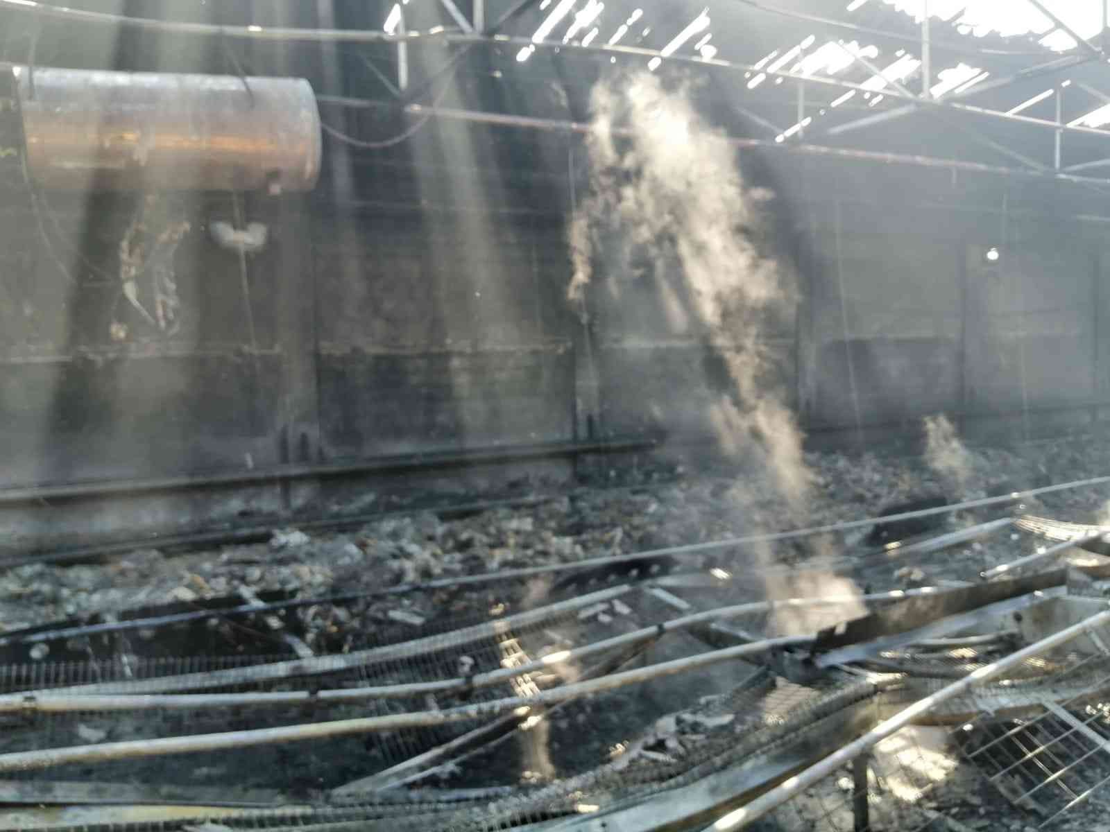 Tavuk çiftliğinde yangın Bursa’nın Karacabey ilçesinde tavuk çiftliğinde çıkan yangında 4 bin civarında tavuk telef oldu. Edinilen bilgiye göre; Karacabey-Balıkesir ...