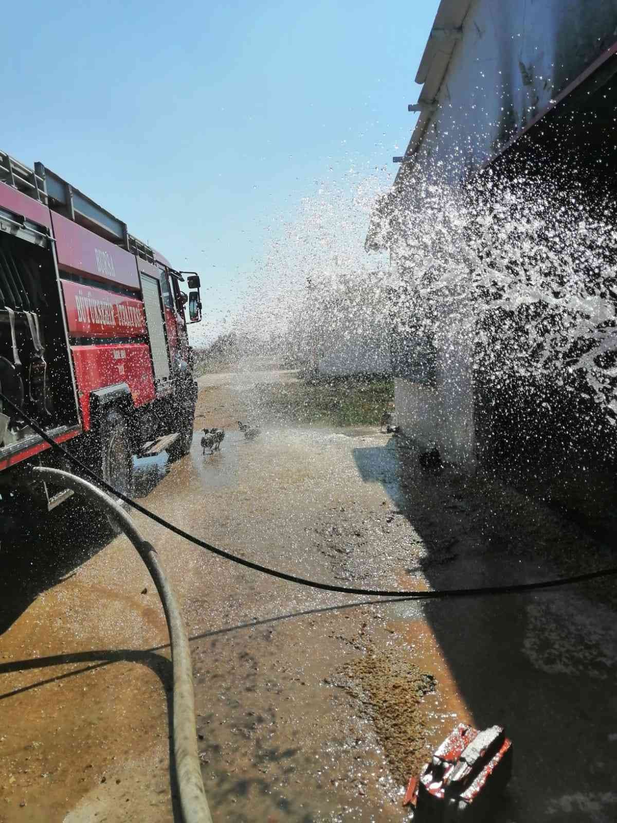 Tavuk çiftliğinde yangın Bursa’nın Karacabey ilçesinde tavuk çiftliğinde çıkan yangında 4 bin civarında tavuk telef oldu. Edinilen bilgiye göre; Karacabey-Balıkesir ...