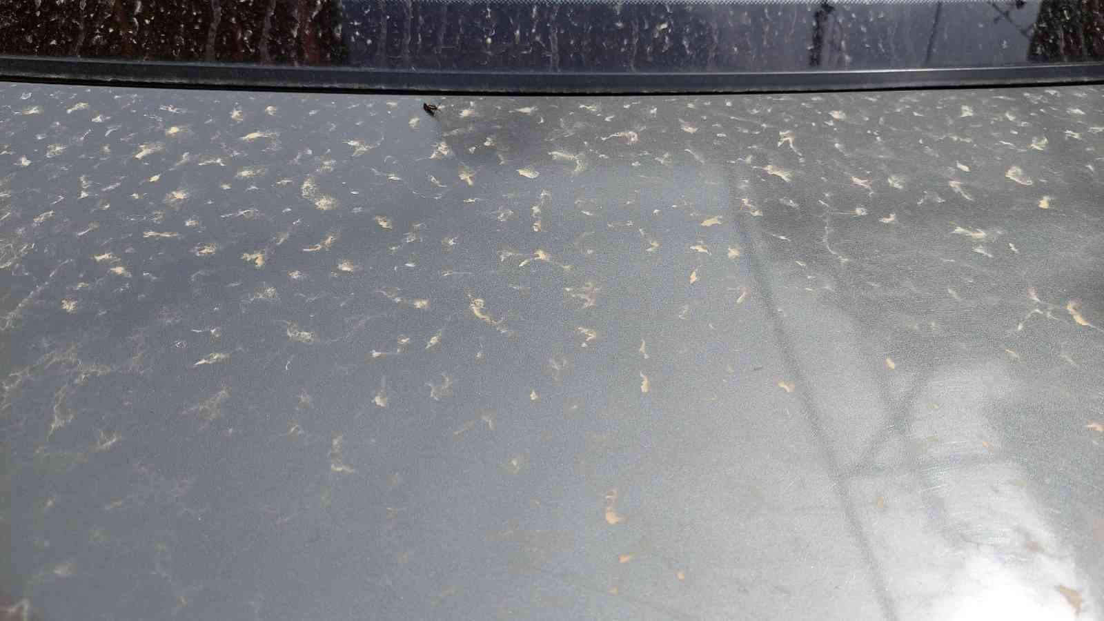 Tekirdağ’da 3 gündür çamur yağıyor Kuzey Afrika çöllerinden gelen tozlar Tekirdağ’da 3 gündür yağmurla karışık çamur yağıyor. Kuzey Afrika’dan gelen toz Tekirdağ’da 3 gündür çamur ...