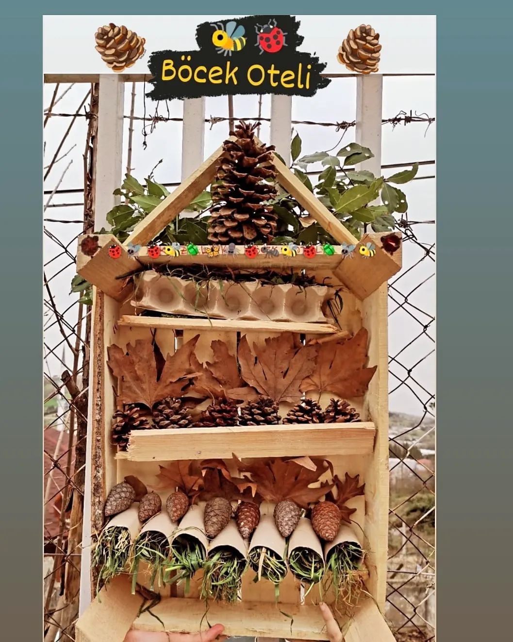 TEMA’lı öğrenciler “Böcek Oteli” yaptı Yalova’da Türkiye Erozyonla Mücadele Ağaçlandırma ve Doğal Varlıkları Koruma Vakfı (TEMA) gönüllüsü öğrenciler “Böcek Oteli” projesini hayata ...