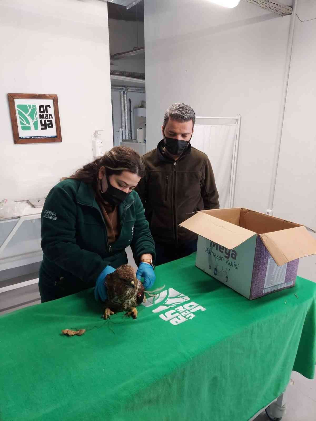 Yaralı Kızıl Şahin tedavi altına alındı Sakarya’nın Karapürçek ilçesinde yol kenarında bulunan yaralı Kızıl Şahin, Kocaeli’ndeki Ormanya Tabiat Parkı’nda tedavi altına alındı. Yaralı ...