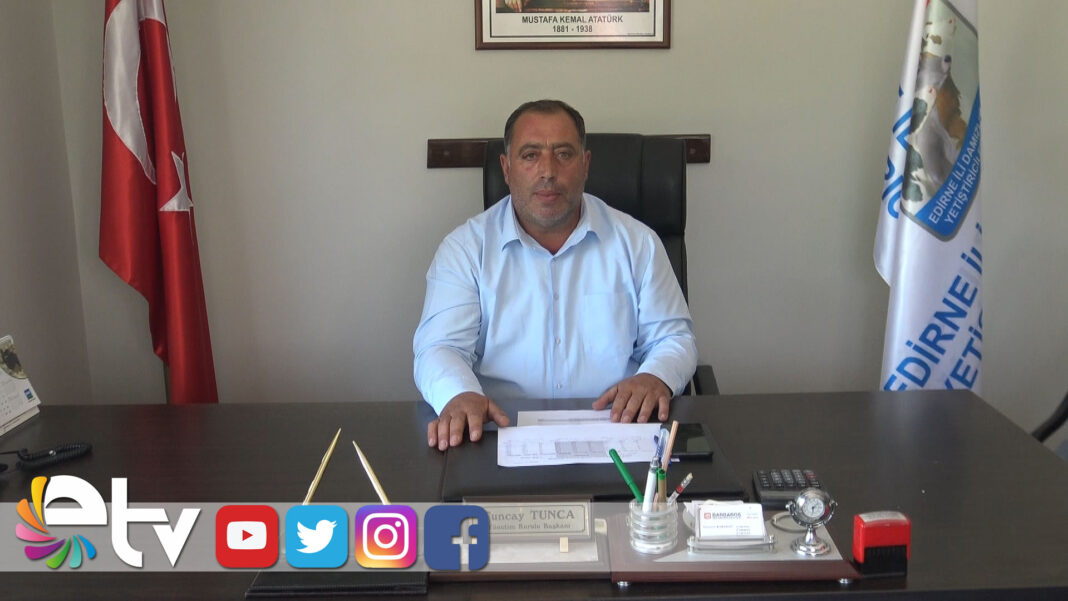 EDİRNEDE BÜYÜKBAŞ HYVAN