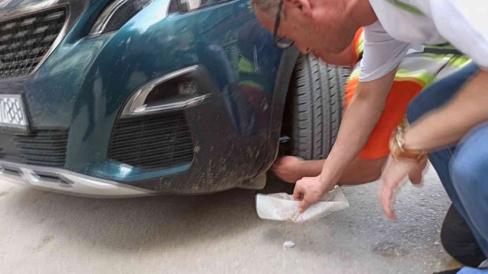 Aracın motoruna sıkışan kediyi kurtarmak için seferber oldular Edirne’nin Keşan ilçesinde park halinde bulunan bir aracın motor kısmına sıkışan yavru kediyi kurtarmak için vatandaşlar seferber oldu. Dışarı ...