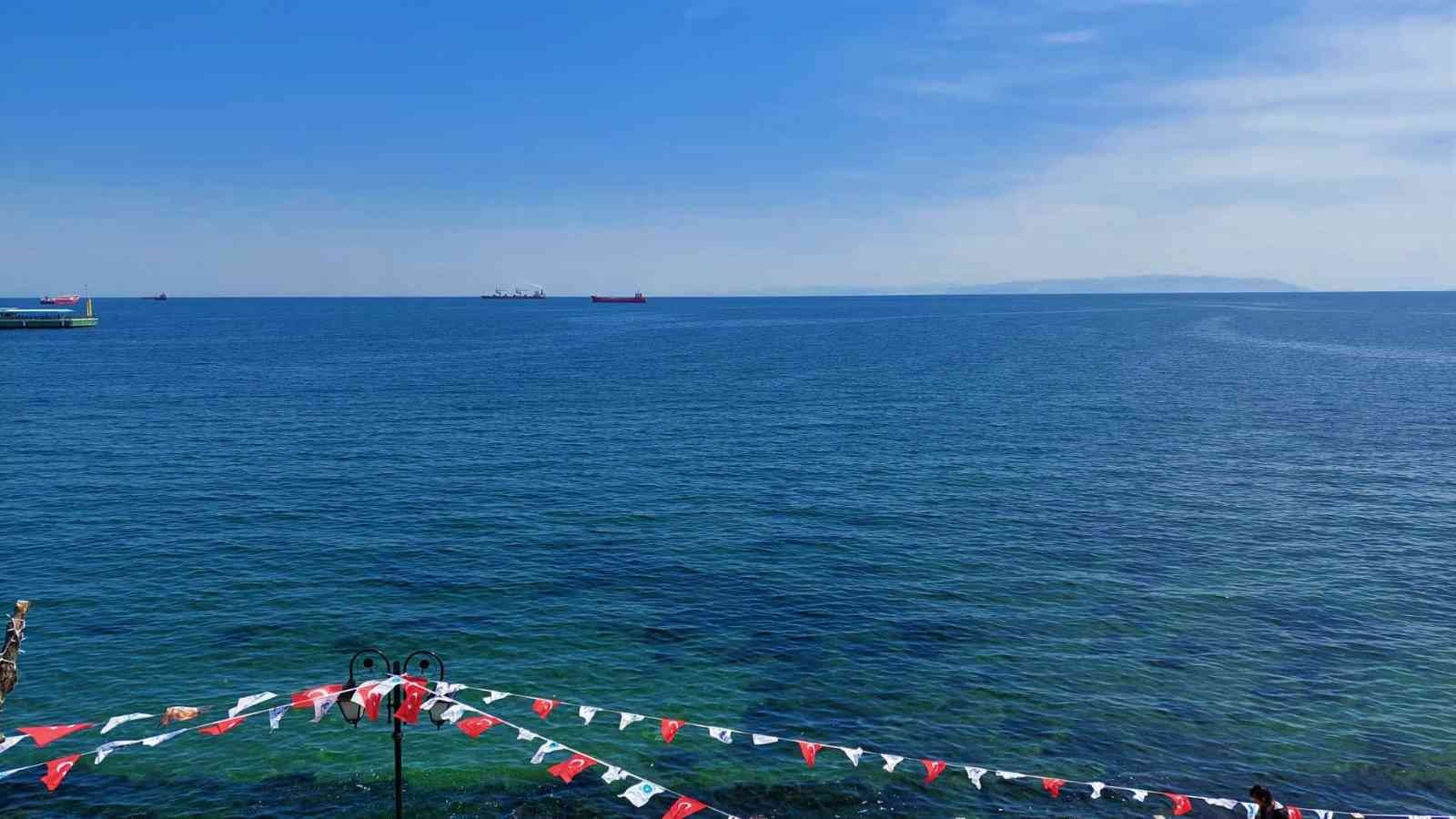 Marmara Denizinin Tekirdağ kıyılarında ağ atmaya devam eden balıkçılar, denizden çektikleri ağlarında müsilaj ile karşılaşmadıklarını söyledi ...