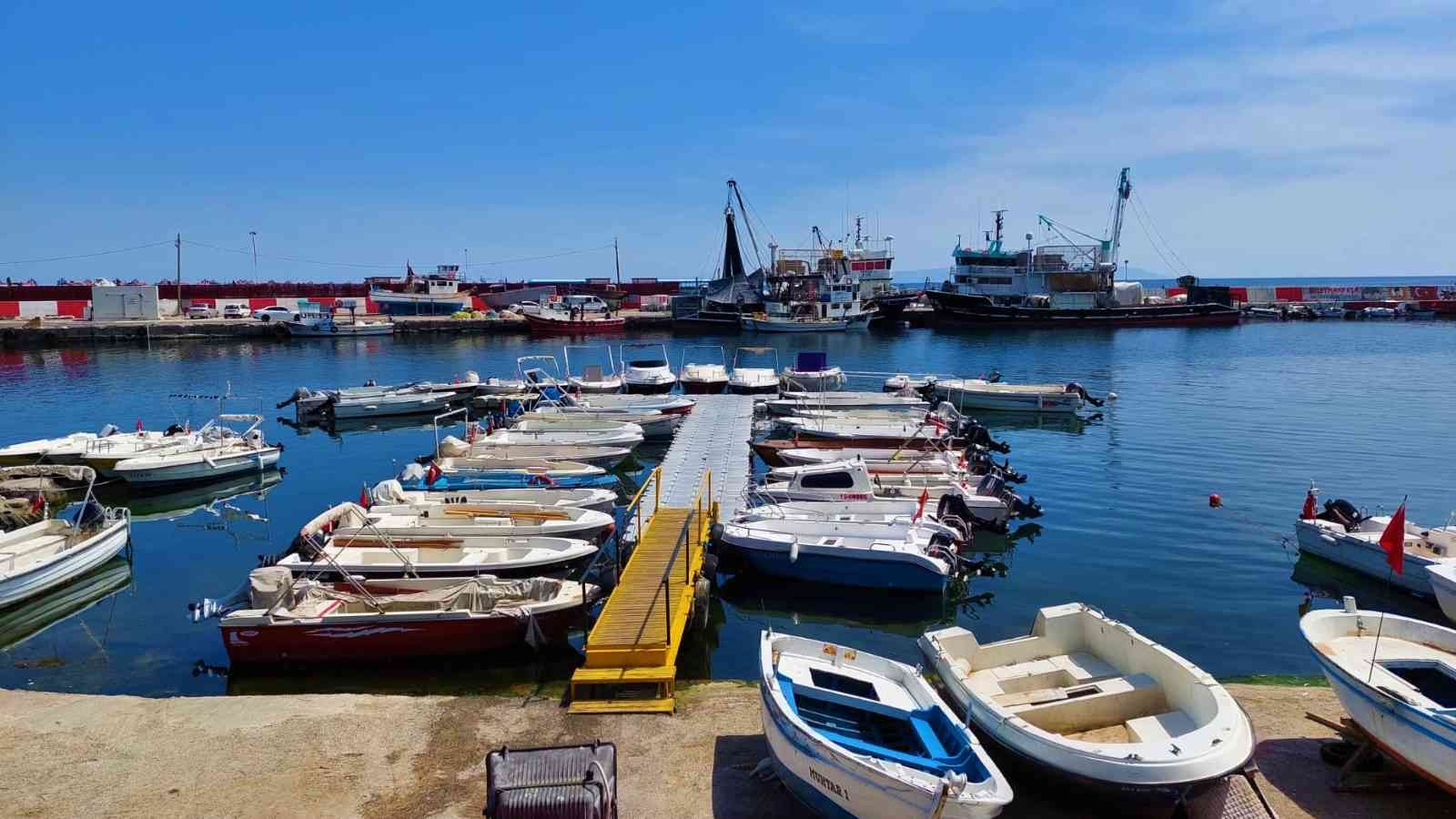 Marmara Denizinin Tekirdağ kıyılarında ağ atmaya devam eden balıkçılar, denizden çektikleri ağlarında müsilaj ile karşılaşmadıklarını söyledi ...