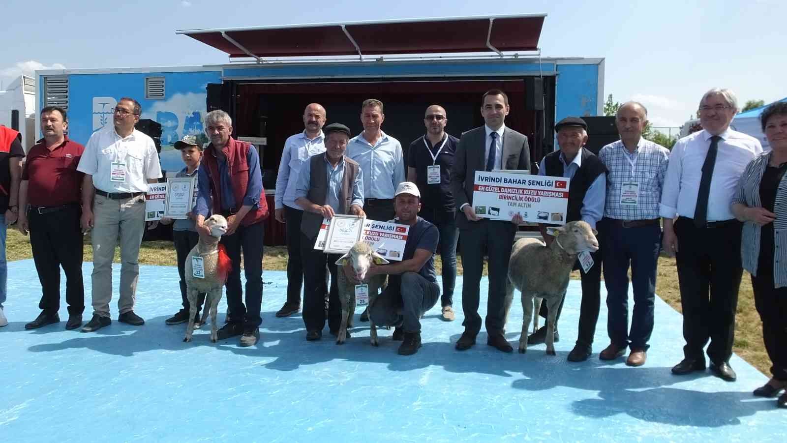 İvrindi ilçesinde belediye tarafından ilki düzenlenen Bahar Şenliğinde, kuzular ve oğlaklar yarıştı, kelle peyniri değerlendirildi. İvrindi ...