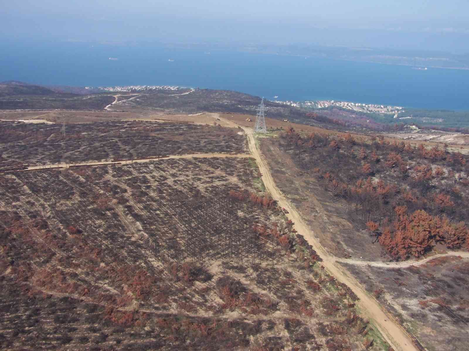 Çanakkale’nin merkeze bağlı İntepe köyünde 14 yıl önce çıkan orman yangınında bin 464 hektarlık alan zarar görmüş, söndürme çalışmaları ise 12 ...