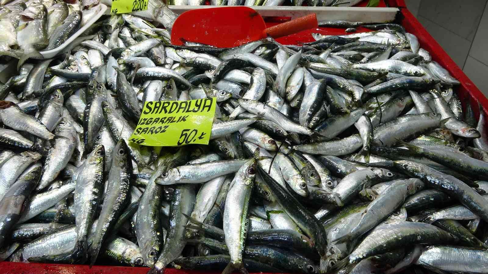 Çanakkale’de geçen sene kilosu 70 liraya kadar ulaşan sardalyanın kilosu 50 liradan tezgahlarda alıcı buluyor. Boğaza kıyısı olan Çanakkale’de en ...
